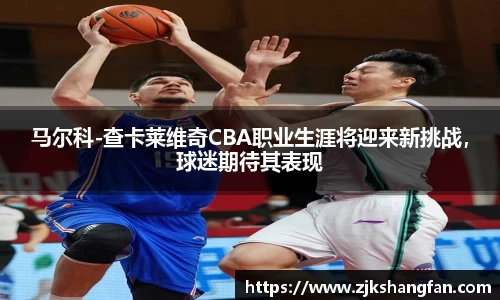 马尔科-查卡莱维奇CBA职业生涯将迎来新挑战，球迷期待其表现