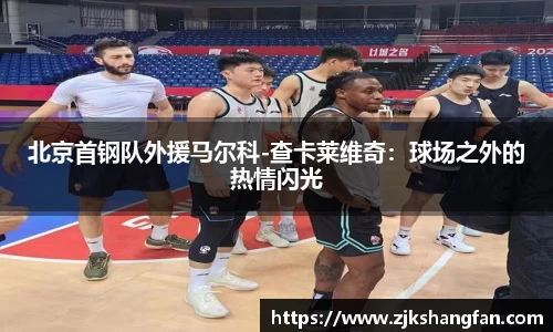 LD乐动官网