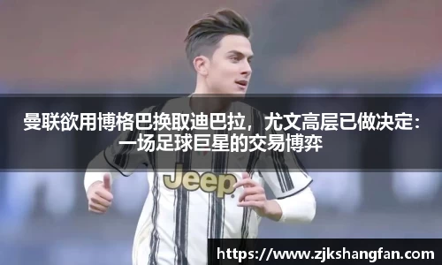 LD乐动官网