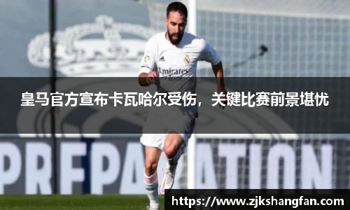 LD乐动官网