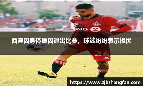 LD乐动官网
