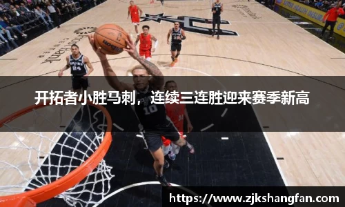 LD乐动官网