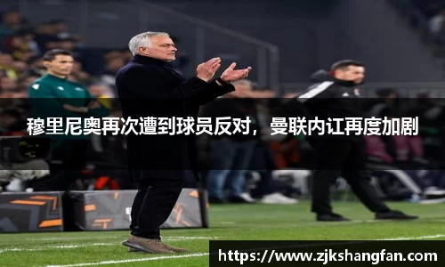 LD乐动官网