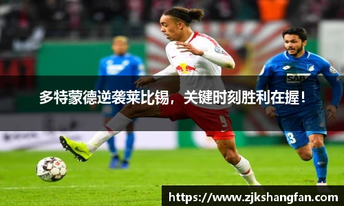 LD乐动注册