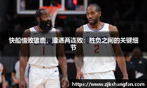 LD乐动官网