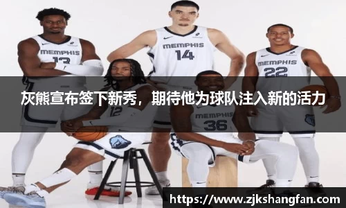 LD乐动官网