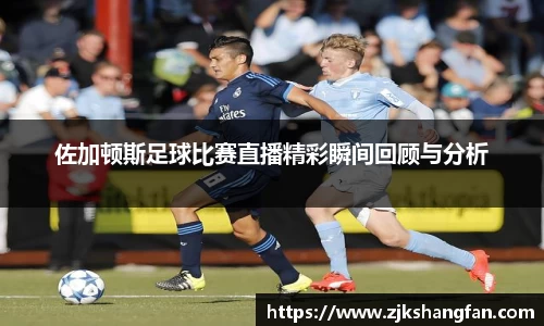 LD乐动官网