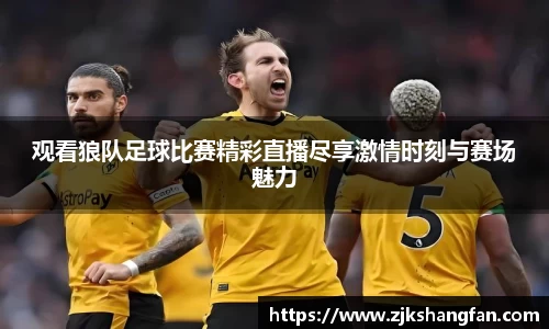 观看狼队足球比赛精彩直播尽享激情时刻与赛场魅力