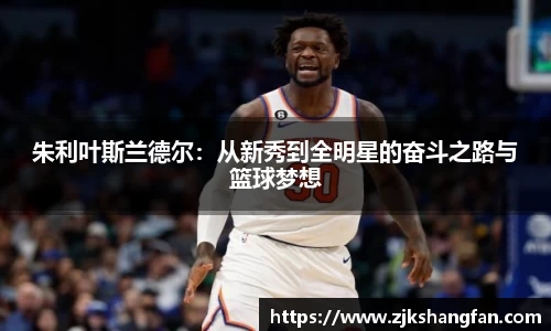 LD乐动官网